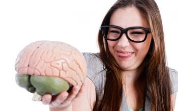 The neuroscience of humor investigated